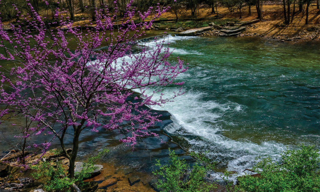 Into The Wild 4 4 39