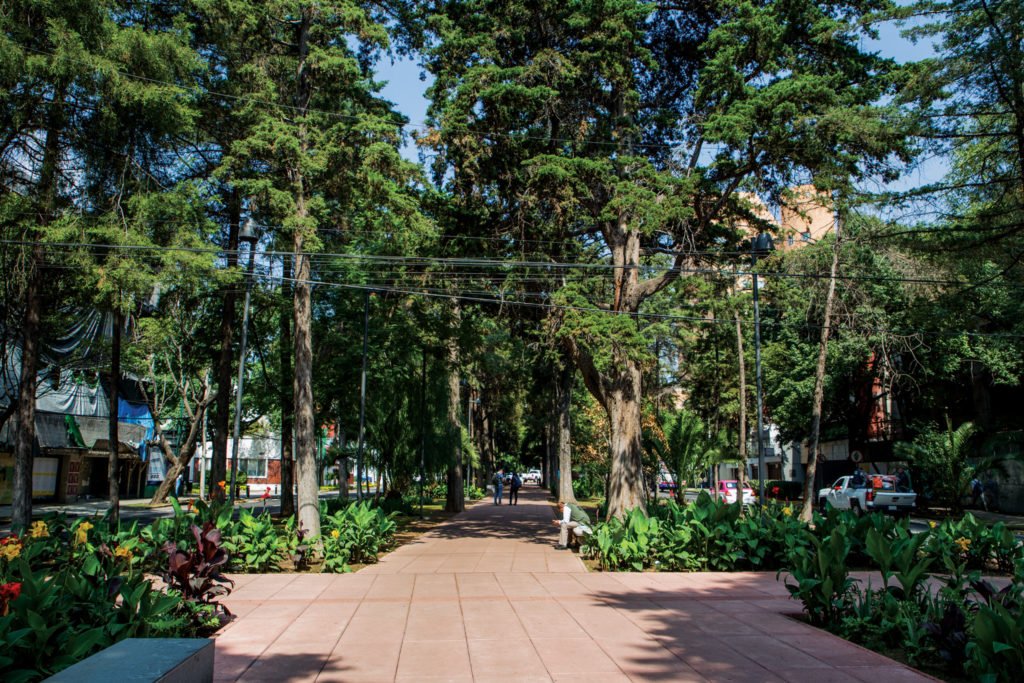 A walk along Avenida Horacio’s 2-mile pedestrian median park is loaded with an incredible combination of urban life and lush green spaces