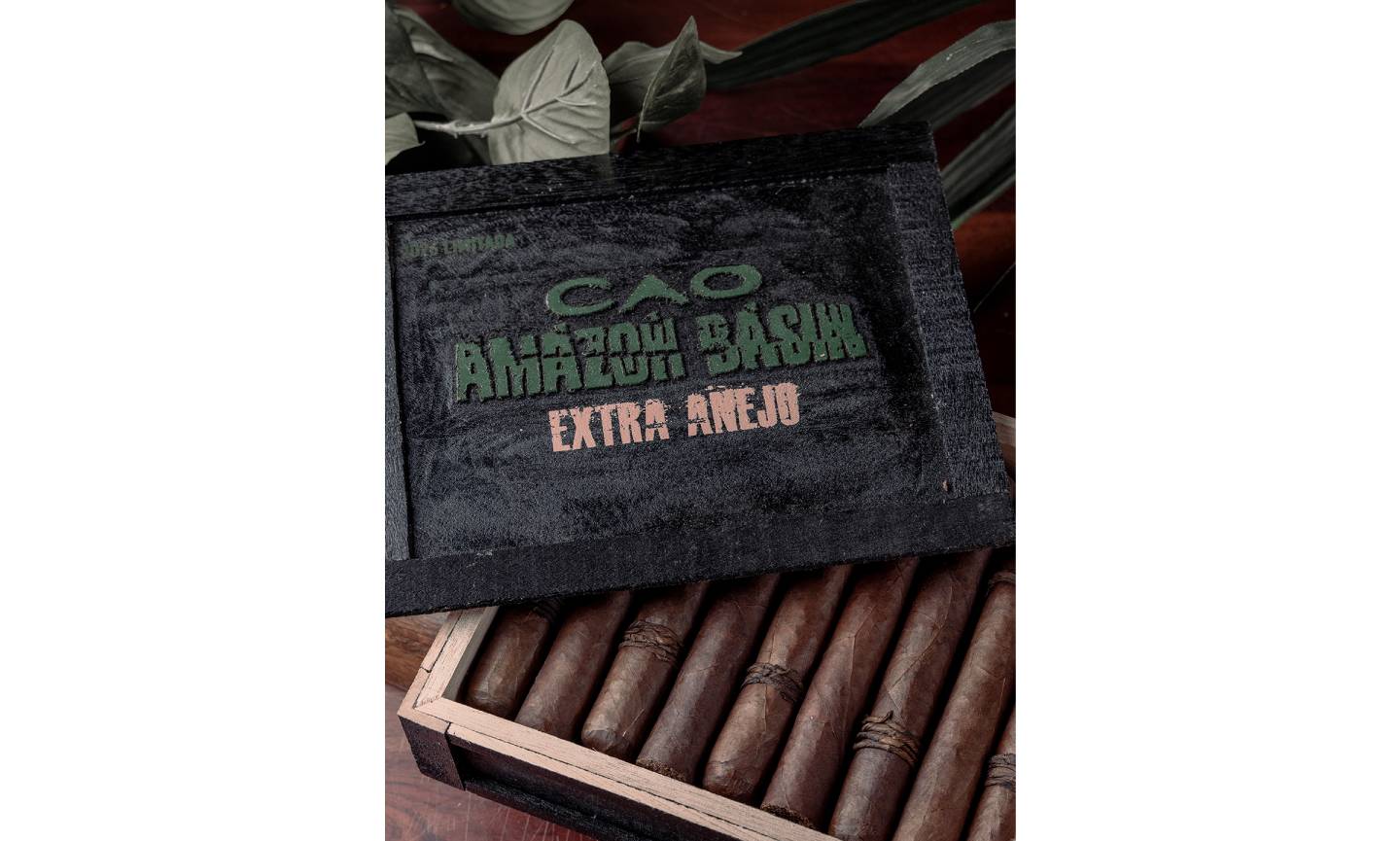 Amazon Basin