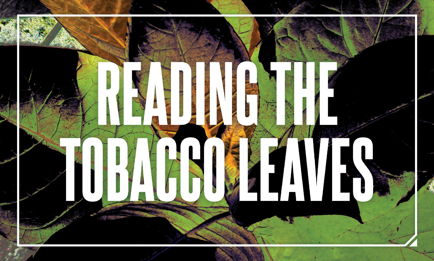 Reading the Tobacco Leaves