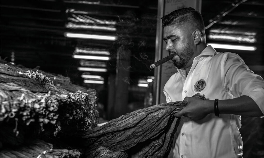 Undercrown Turns 10 3 Drew Estate UC10 Jose Maria Ruiz Chema Preindustry Chief WEB 1