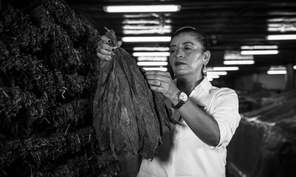 Undercrown Turns 10 6 Drew Estate UC10 Maria Yesenia Moncada Director of Production WEB 1
