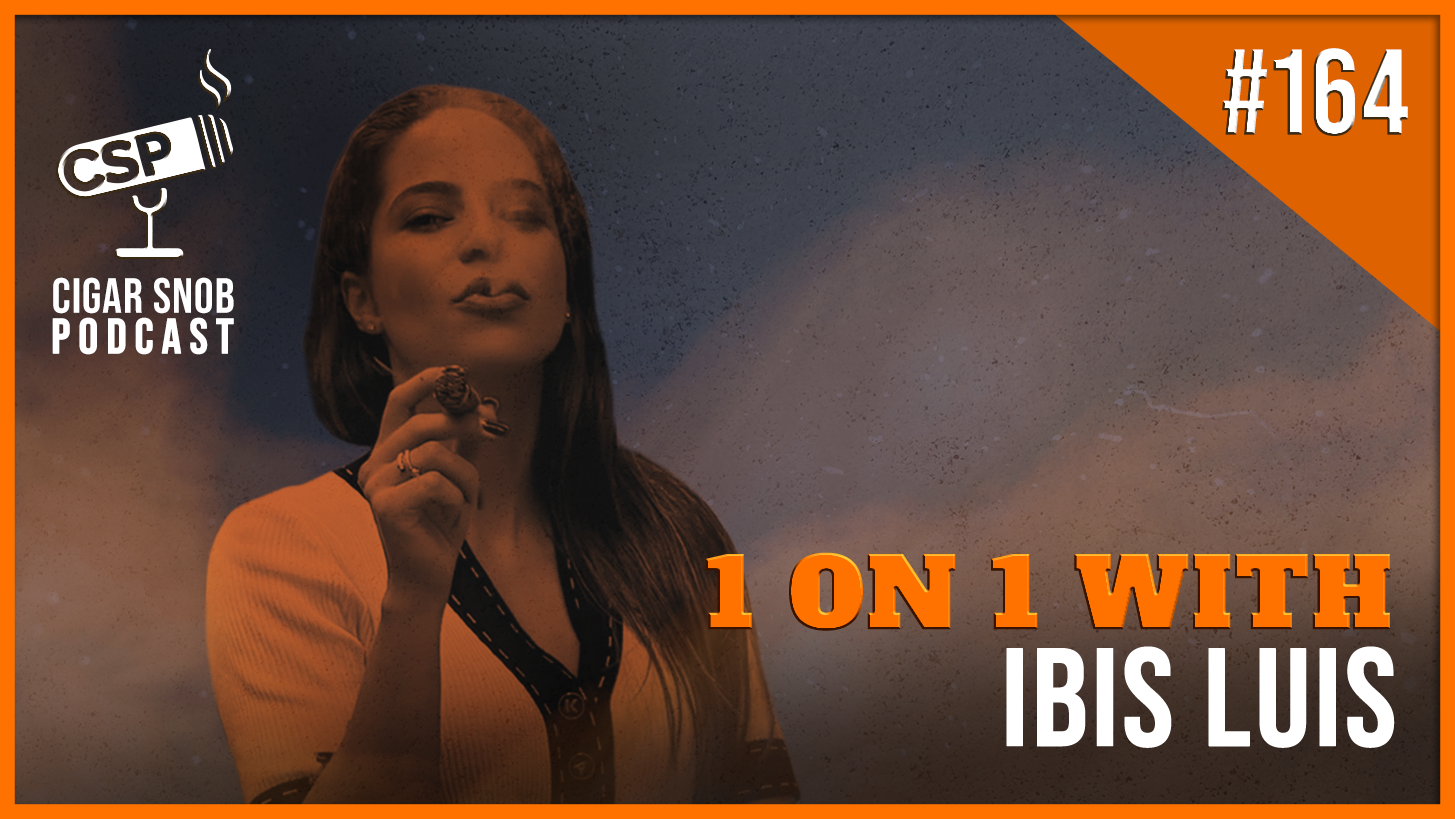 Ibis Luis