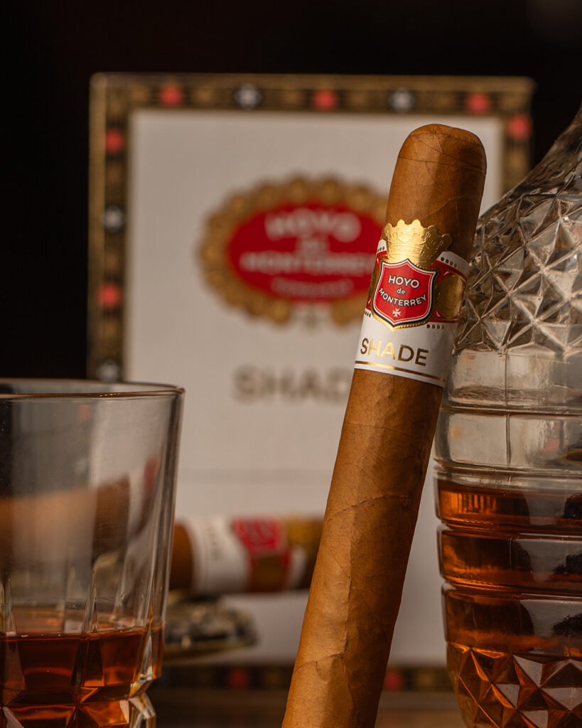 Hoyo Expands Core Lineup with Shade 2 Hoyo Shade