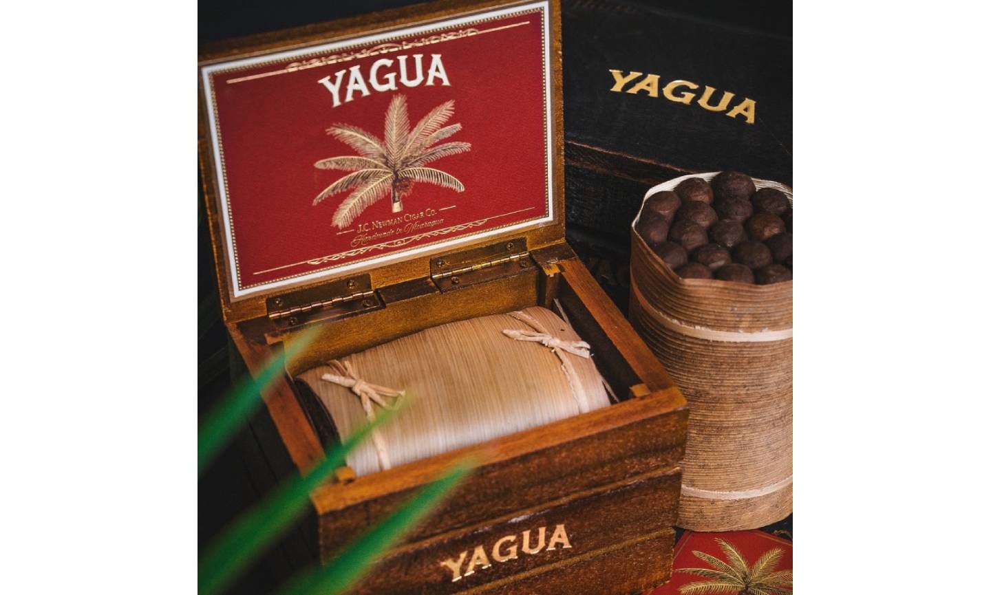 Yagua Robusto