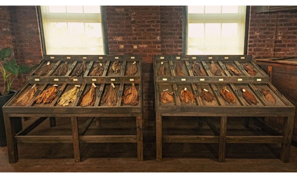J.C. Newman Cigar Co. Launches Tobacco Tasting Classes 1 J.C. Newman Cigar Co. Launches Tobacco Tasting Classes.1