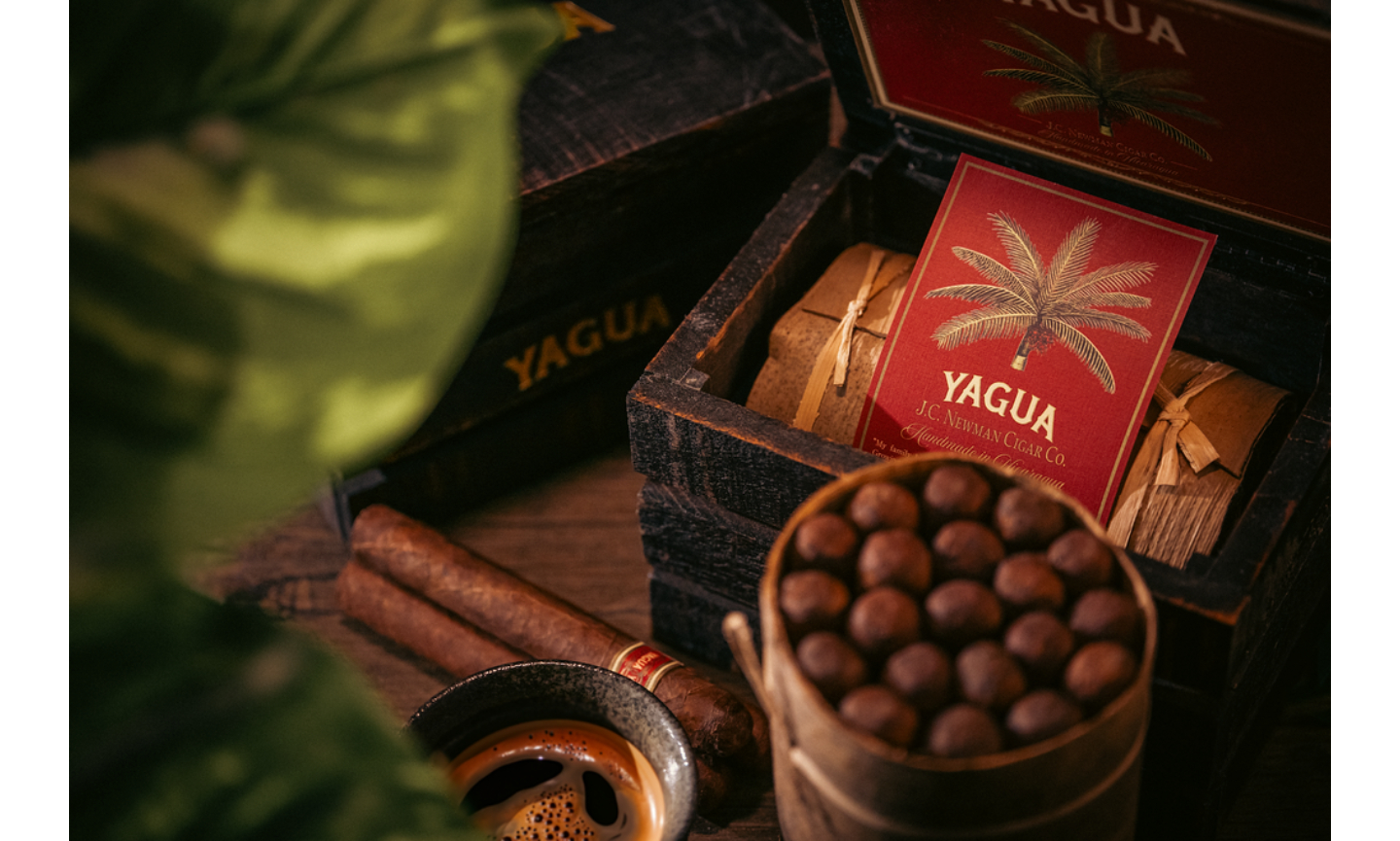 Yagua