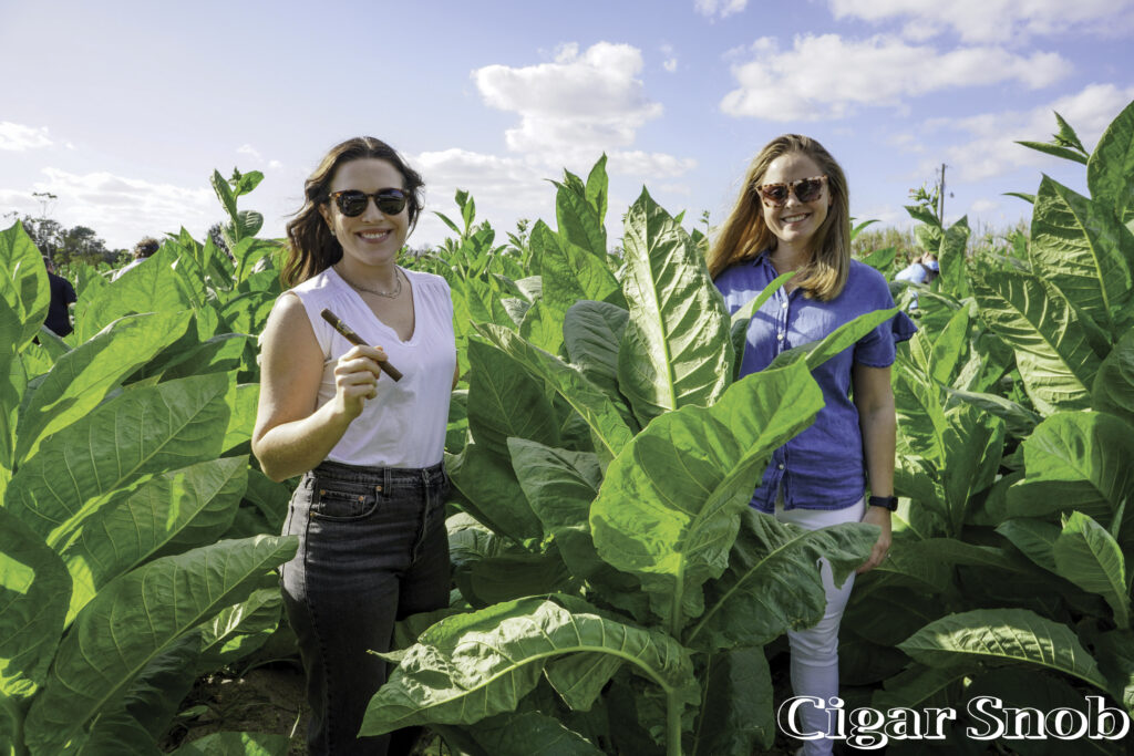 The American Cigar Factory and Farm Tour 4 Monica Foster and Kara Guagliardo