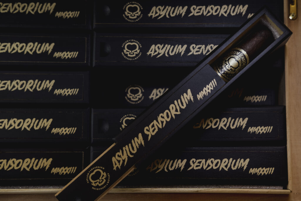 C.L.E Company Announces Release Of The Asylum Sensorium 6 NRHN5860