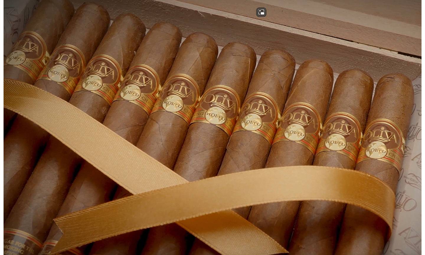 Oliva