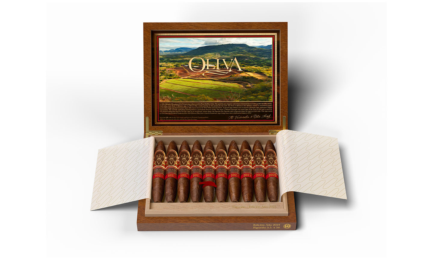 Oliva