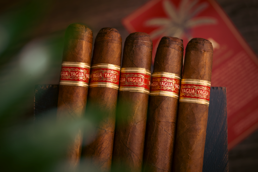 PensaShoot Yagua 21 1