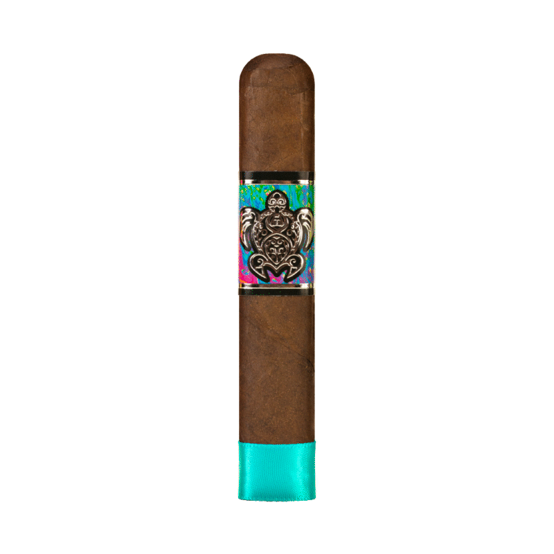 Espinosa & Cigar Dojo Reunite for Psychedelic Turtle II 1 Psychedelic Turtle II foot ribbons