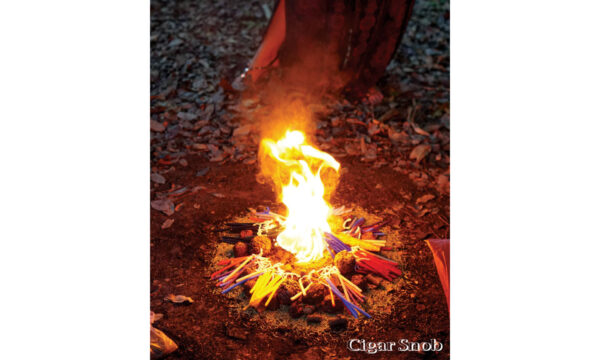 sacred fire smogon sacred fire smogon