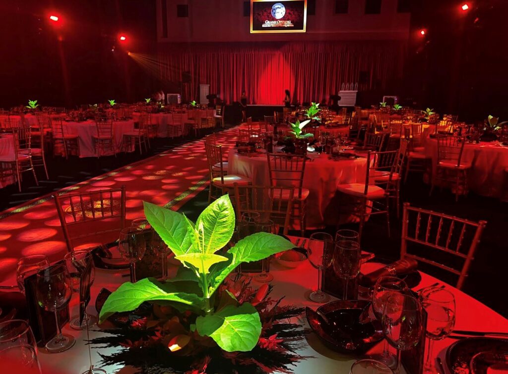 Selected Tobacco Celebrates Grand Opening in Madrid 1 ST Gala Evening 002