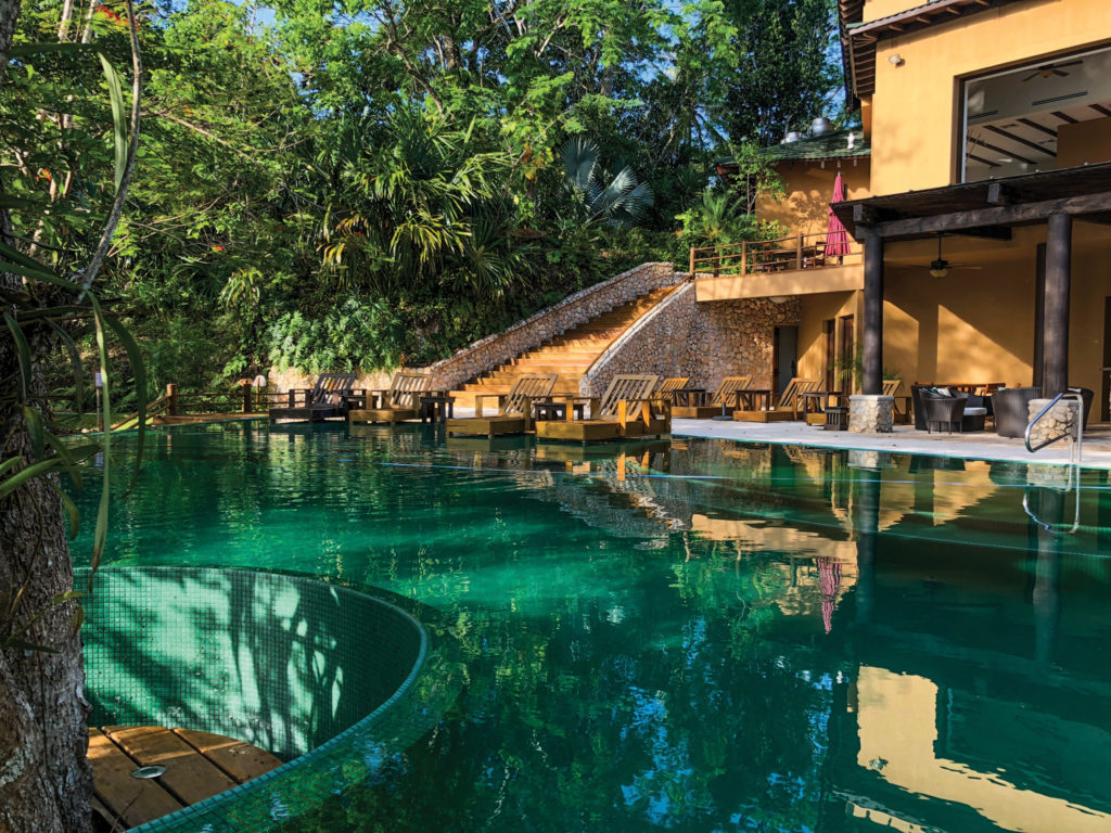 The pool at Las Lagunas Boutique Hotel was built around a Caribbean Ipe tree.