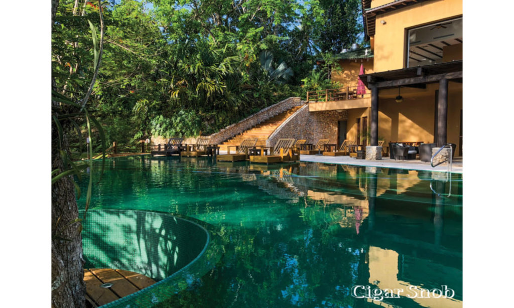 The pool at Las Lagunas Boutique Hotel was built around a Caribbean Ipe tree. 1024x768 small