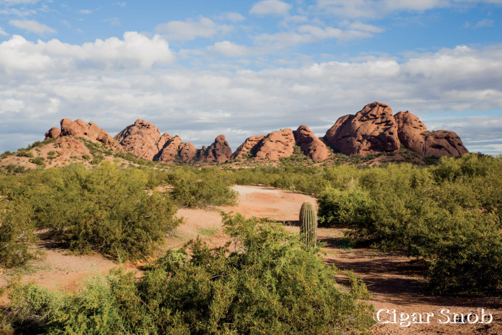 The view on the trail at McDowell Sonoran Preserve 1024x683 1