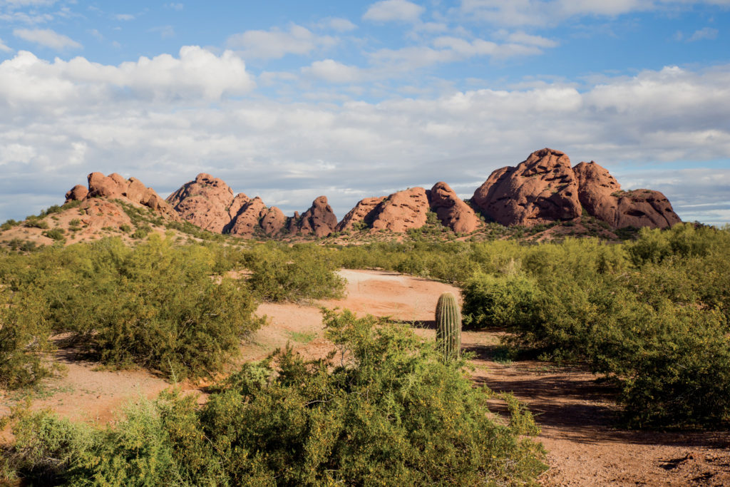 The view on the trail at McDowell Sonoran Preserve