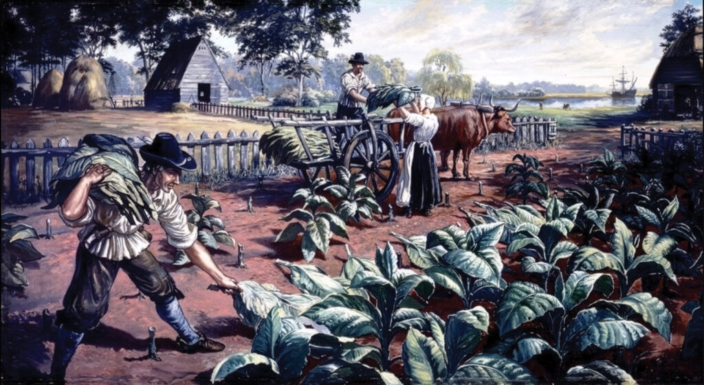 How Tobacco Financed a Nation 1 VA Tobacco Plantation