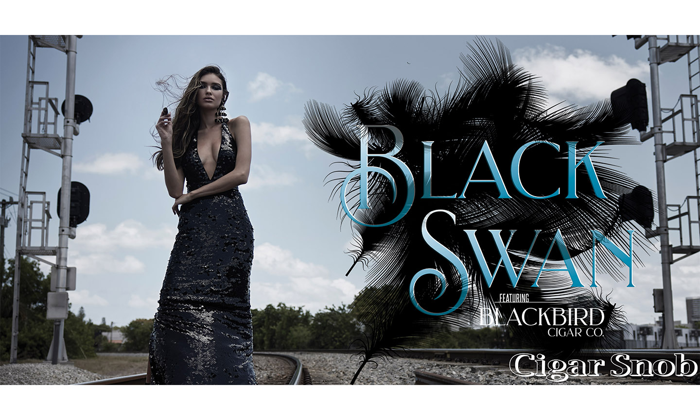 Black Swan